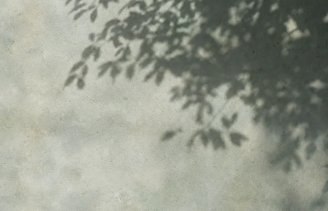 Shadows of trees falling across a wall